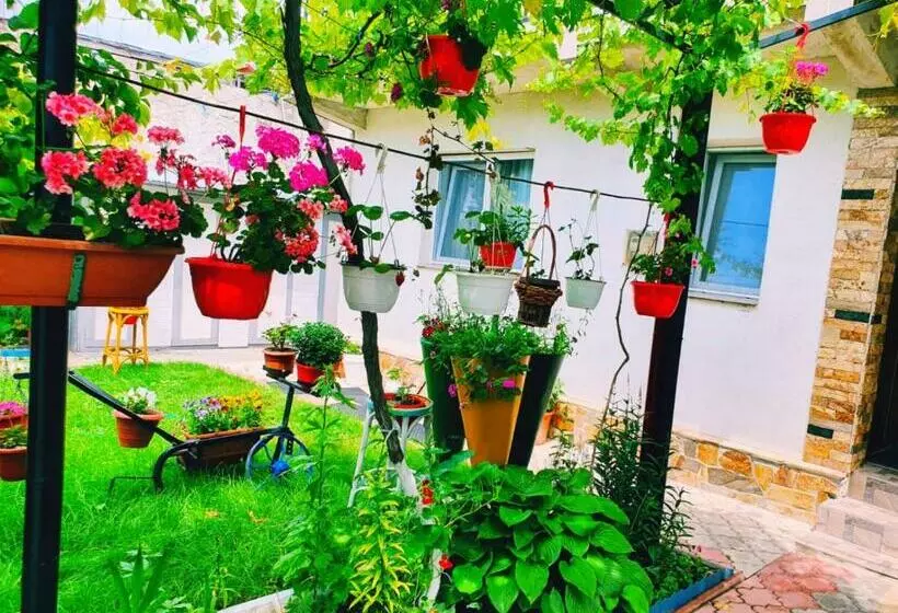 ペンション Casa Razvan Vama Veche
