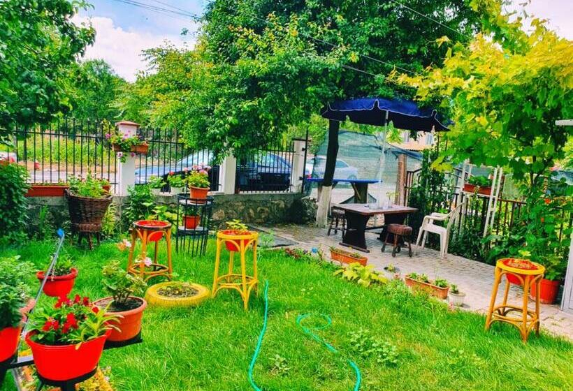 膳宿费 Casa Razvan Vama Veche