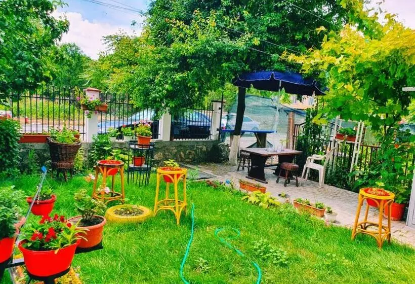 ペンション Casa Razvan Vama Veche