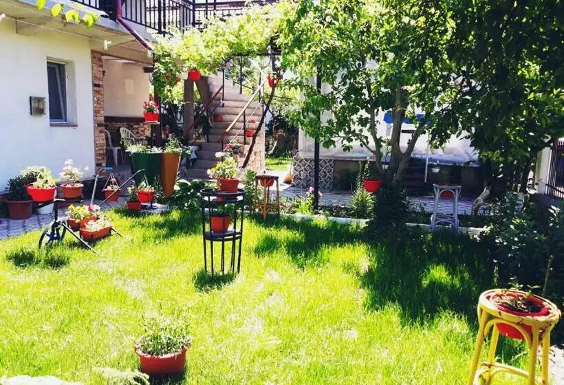 ペンション Casa Razvan Vama Veche
