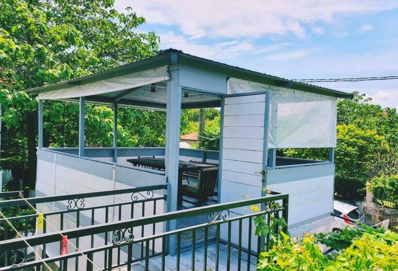 膳宿费 Casa Razvan Vama Veche