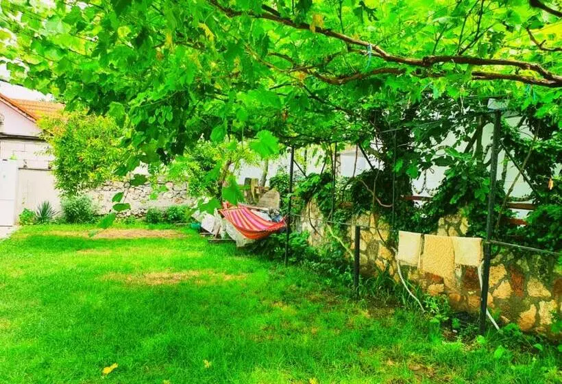 ペンション Casa Razvan Vama Veche