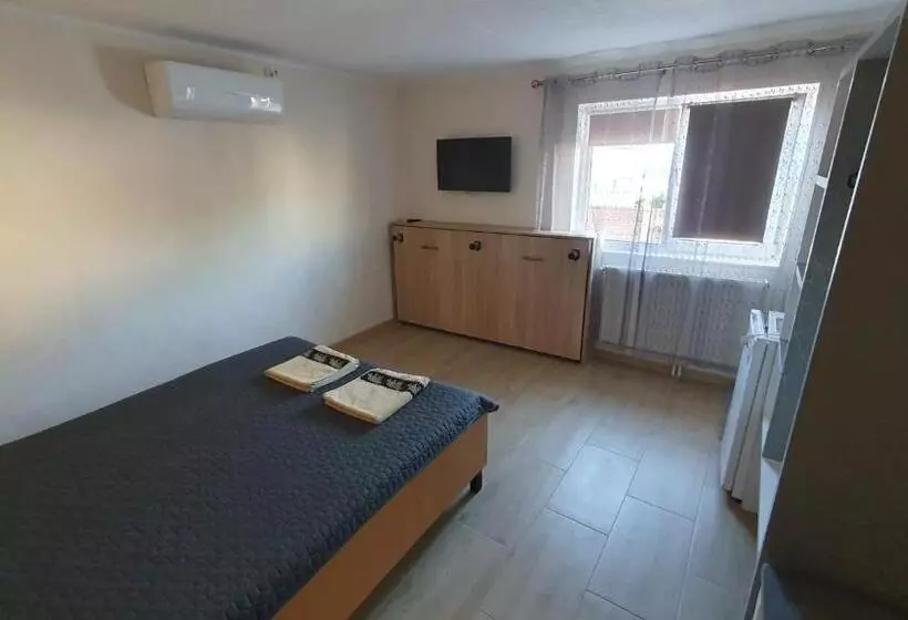 ペンション Casa Razvan Vama Veche