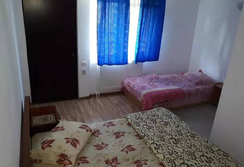 ペンション Casa Razvan Vama Veche