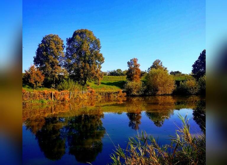 פנסיון Penzion Pastouška S Pohostinstvím