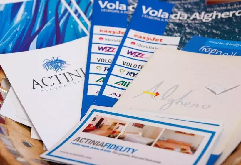 تختخواب و صبحانه Actinia Accommodation