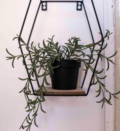 مبيت وإفطار Rooms 20 Settembre