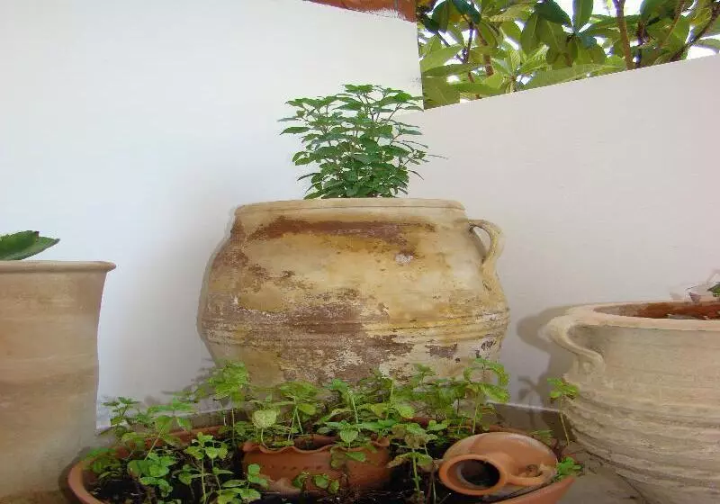 Diamond Apartments & Suites