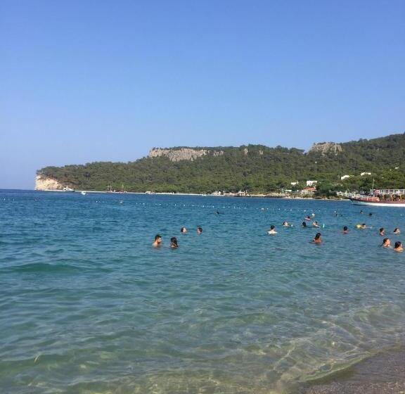 فندق Forest Park