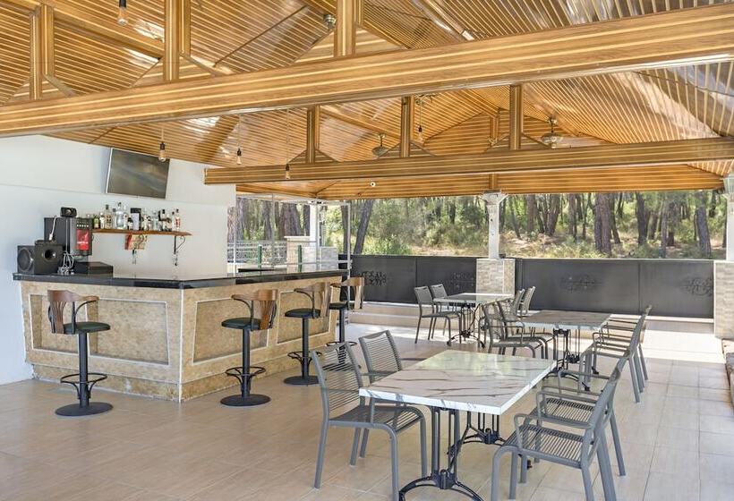 فندق Forest Park