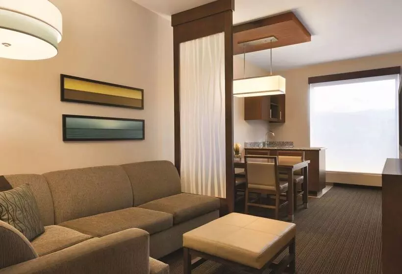 酒店 Hyatt Place San Jose Pinares