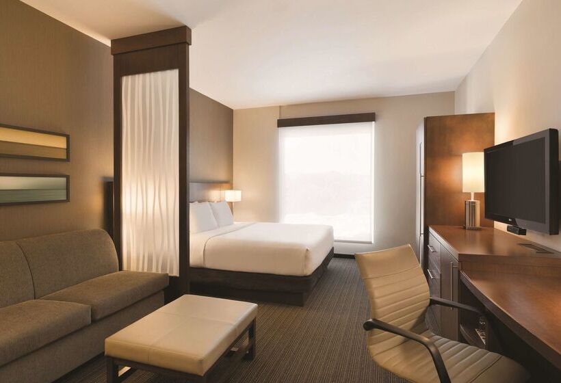 فندق Hyatt Place San Jose Pinares