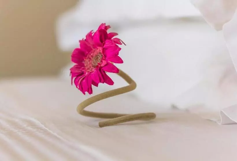 Hotel Palms And Spas Villas Retreat