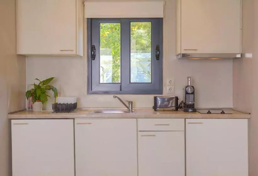 Hotel Palms And Spas Villas Retreat