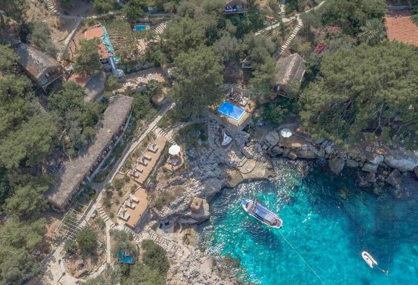 בית מלון כפרי Perdue