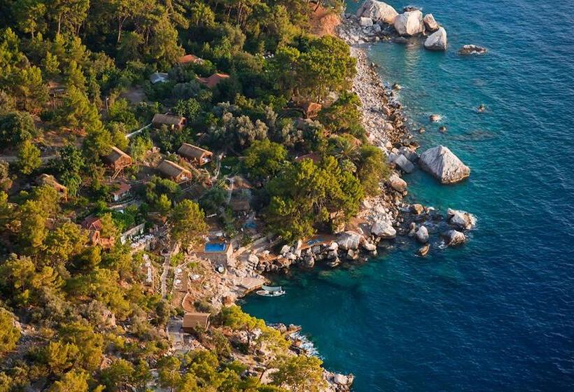 בית מלון כפרי Perdue