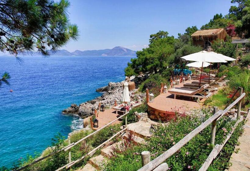 בית מלון כפרי Perdue