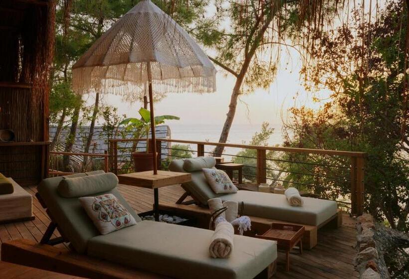 בית מלון כפרי Perdue