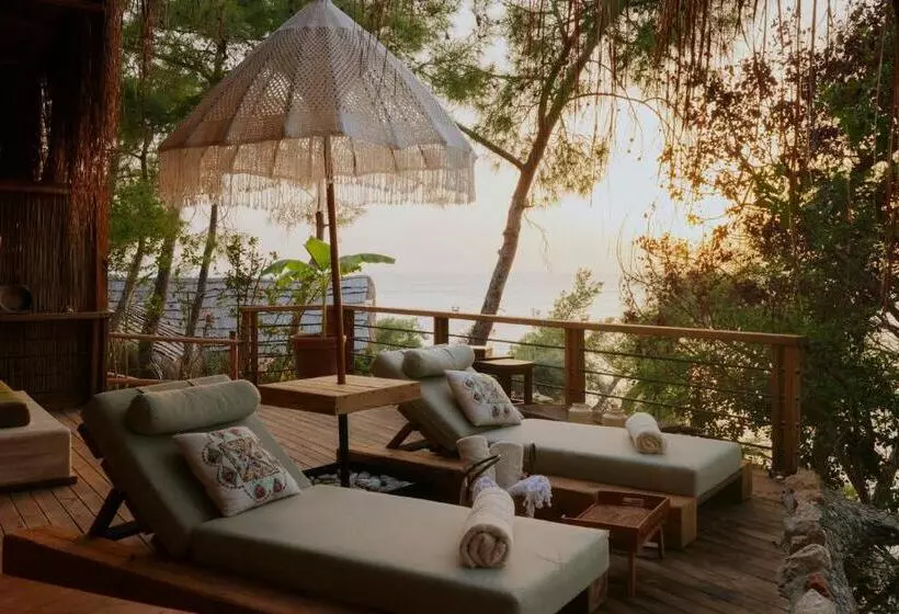 בית מלון כפרי Perdue