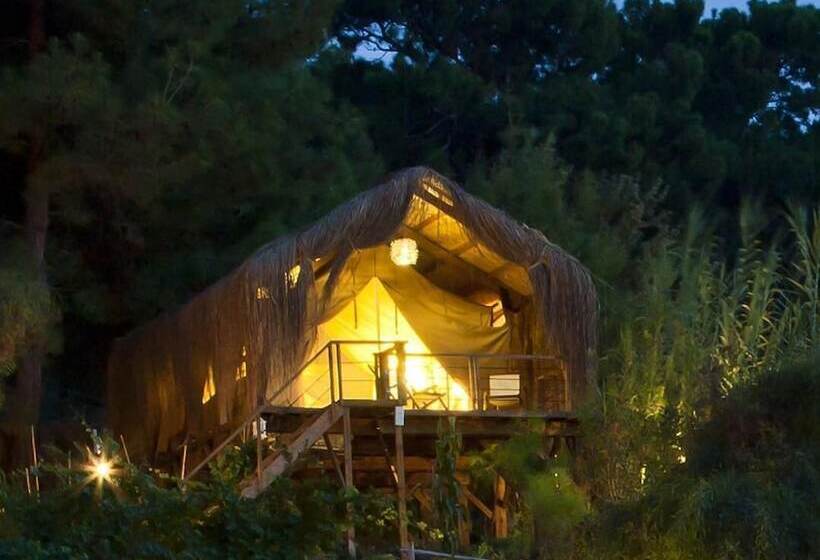 בית מלון כפרי Perdue