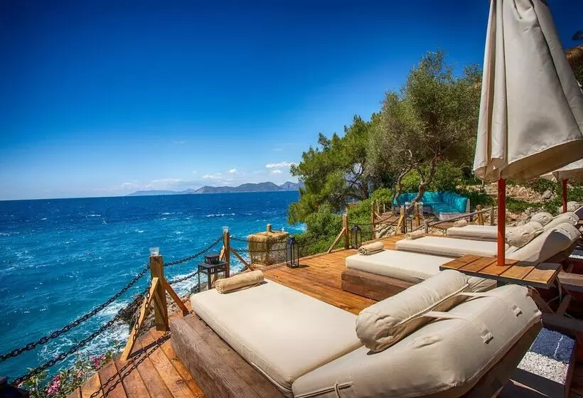 בית מלון כפרי Perdue