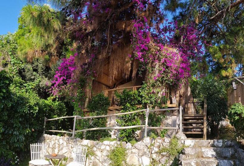 בית מלון כפרי Perdue