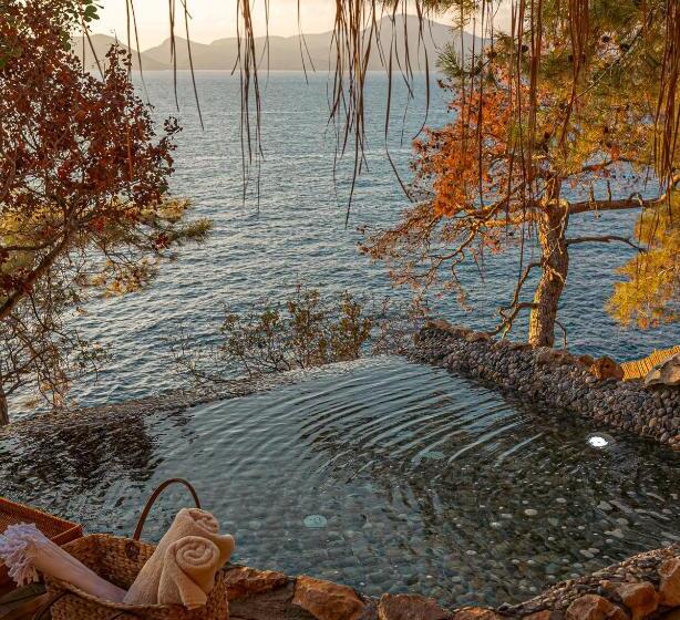 בית מלון כפרי Perdue