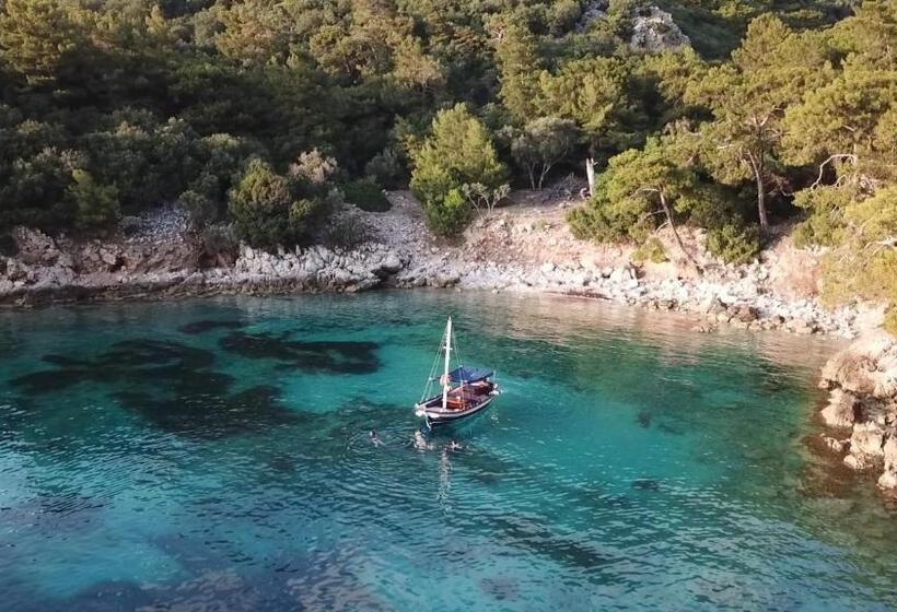 בית מלון כפרי Perdue