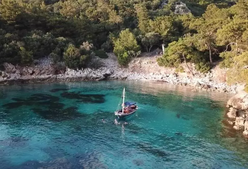 בית מלון כפרי Perdue