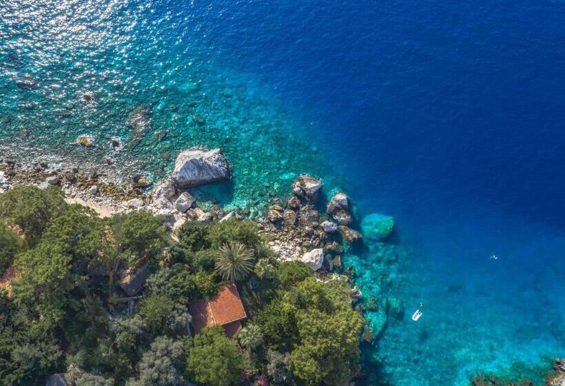 בית מלון כפרי Perdue