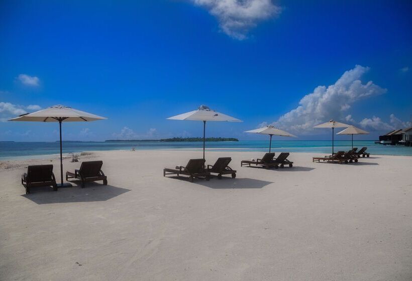 هتل The Residence Maldives