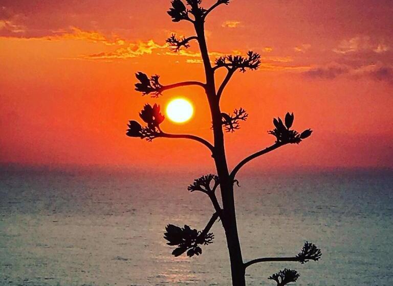 ユースホステル Arthouse Surf Ericeira