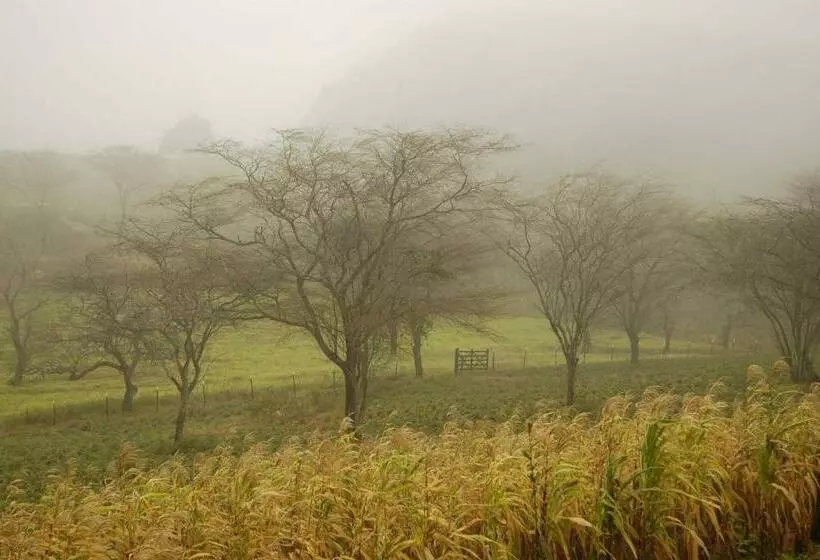 ユースホステル Pousada Villas Da Serra