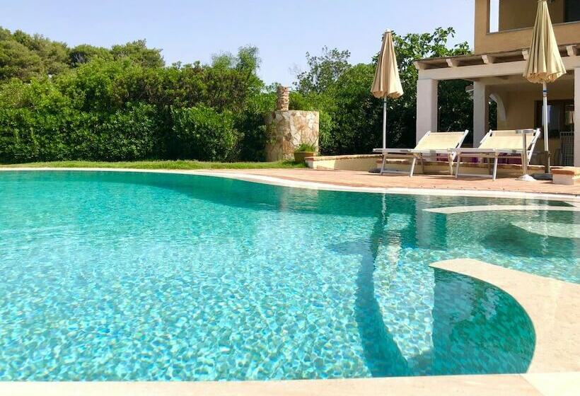 تختخواب و صبحانه Calacaterina Guest House