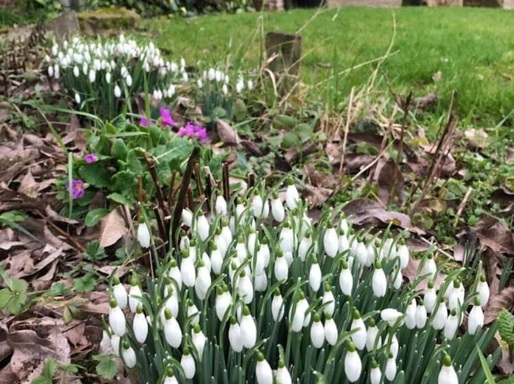 مبيت وإفطار La Ferme Des Templiers