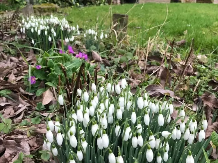 ベッドアンドブレックファースト La Ferme Des Templiers