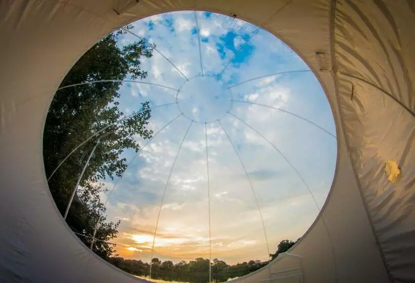 تختخواب و صبحانه Pã©niche Espoir Bulle