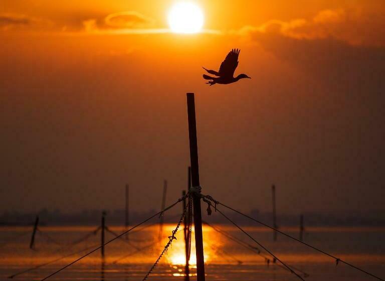 호텔 Albatros Old Town