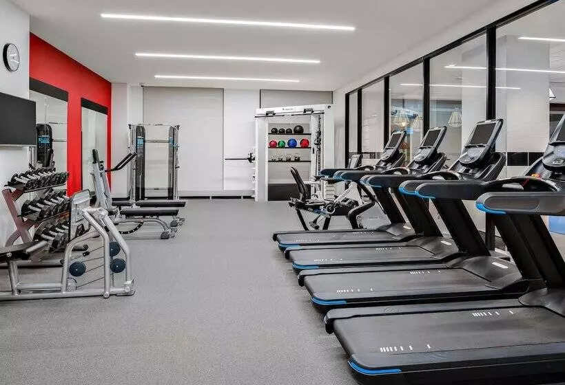 هتل Hilton Garden Inn Chicago Mccormick Place