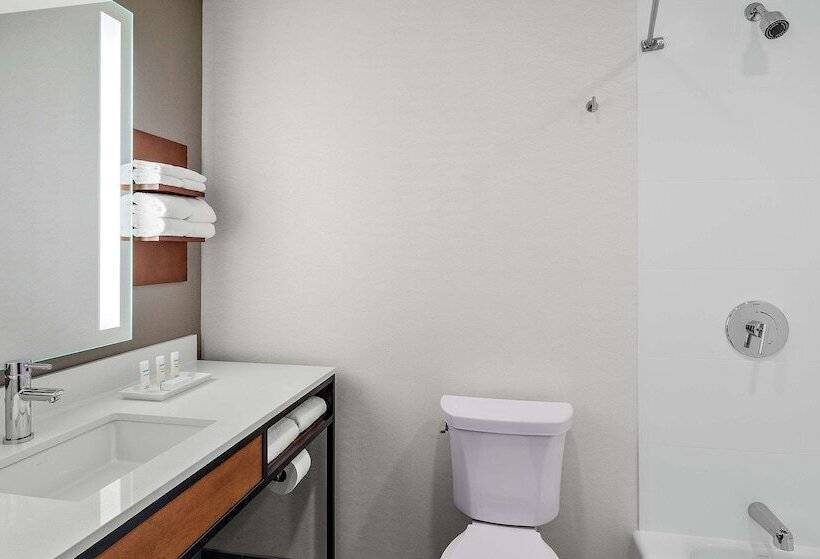 ホテル Hilton Garden Inn Chicago Mccormick Place