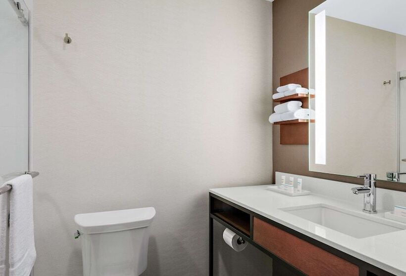 ホテル Hilton Garden Inn Chicago Mccormick Place