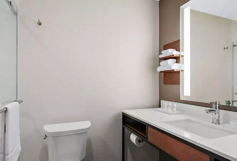 هتل Hilton Garden Inn Chicago Mccormick Place