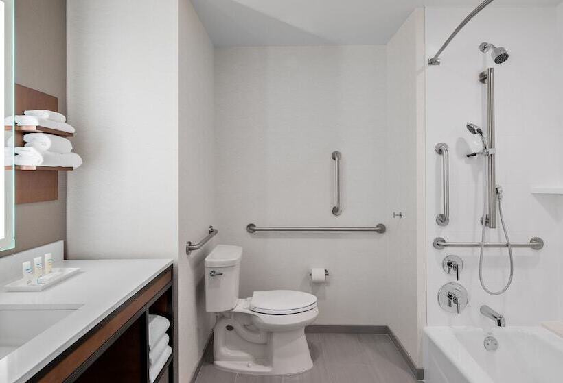 ホテル Hilton Garden Inn Chicago Mccormick Place