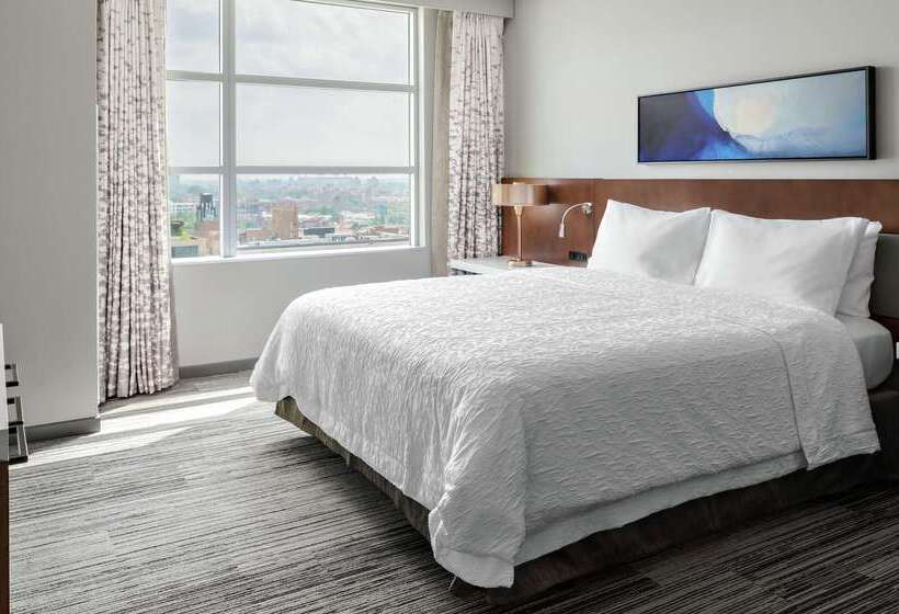 ホテル Hilton Garden Inn Chicago Mccormick Place