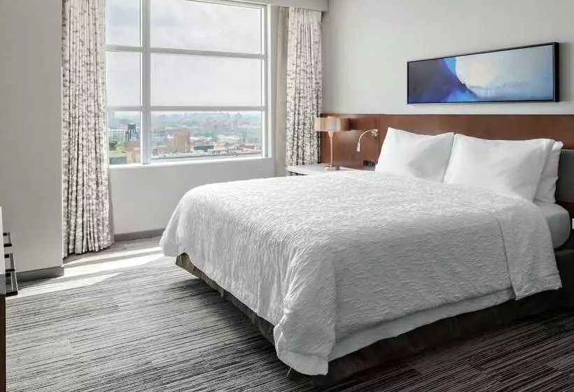 هتل Hilton Garden Inn Chicago Mccormick Place