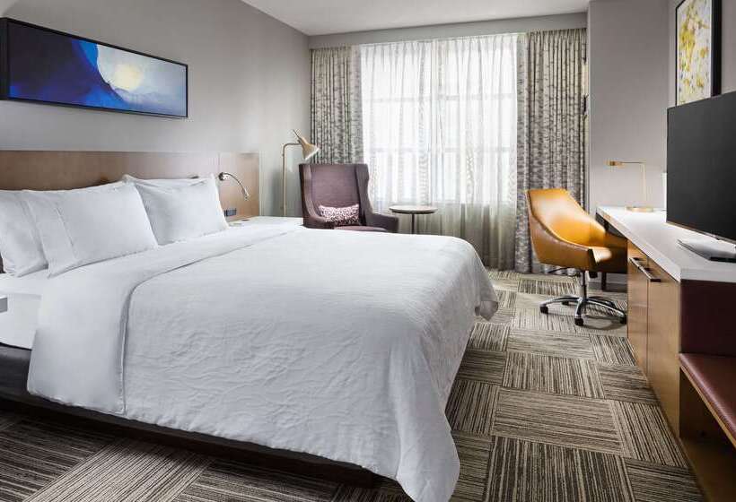 ホテル Hilton Garden Inn Chicago Mccormick Place