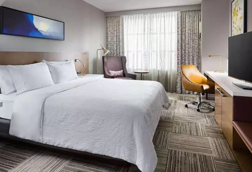 هتل Hilton Garden Inn Chicago Mccormick Place