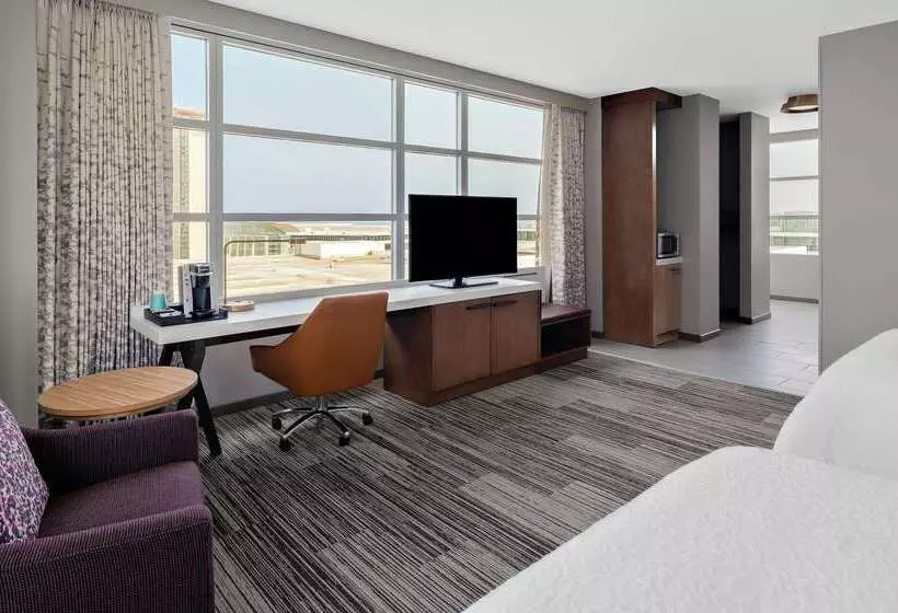 هتل Hilton Garden Inn Chicago Mccormick Place