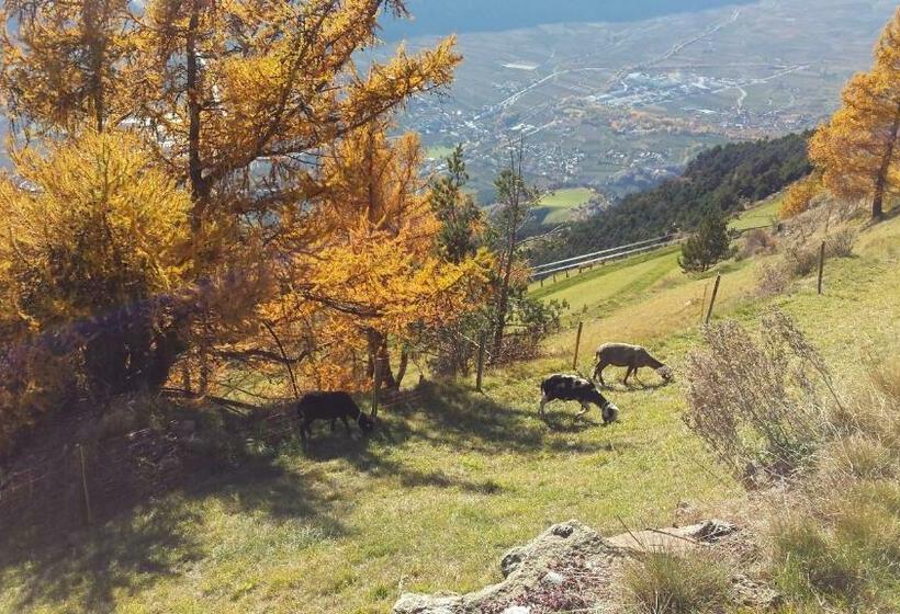 Отель Oberköbenhof