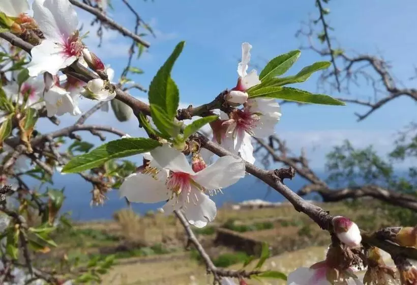 ホテル Resort La Casa Dei Fiori